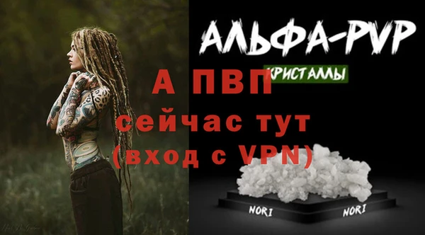 гидра Белоозёрский