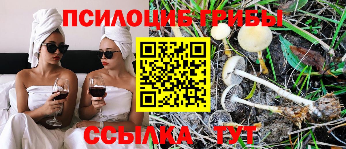 Псилоцибиновые грибы MAGIC MUSHROOMS  Галлюциногенные грибы мицелий  Сланцы  что такое наркотик  Вход с VPN 