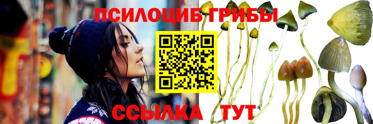 Галлюциногенные грибы прущие грибы Сланцы