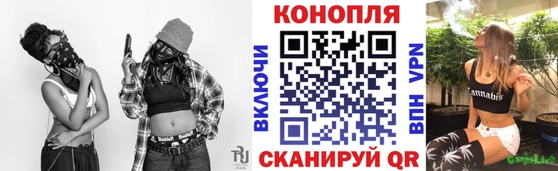 купить наркотик  Сланцы  Бошки Шишки индика 